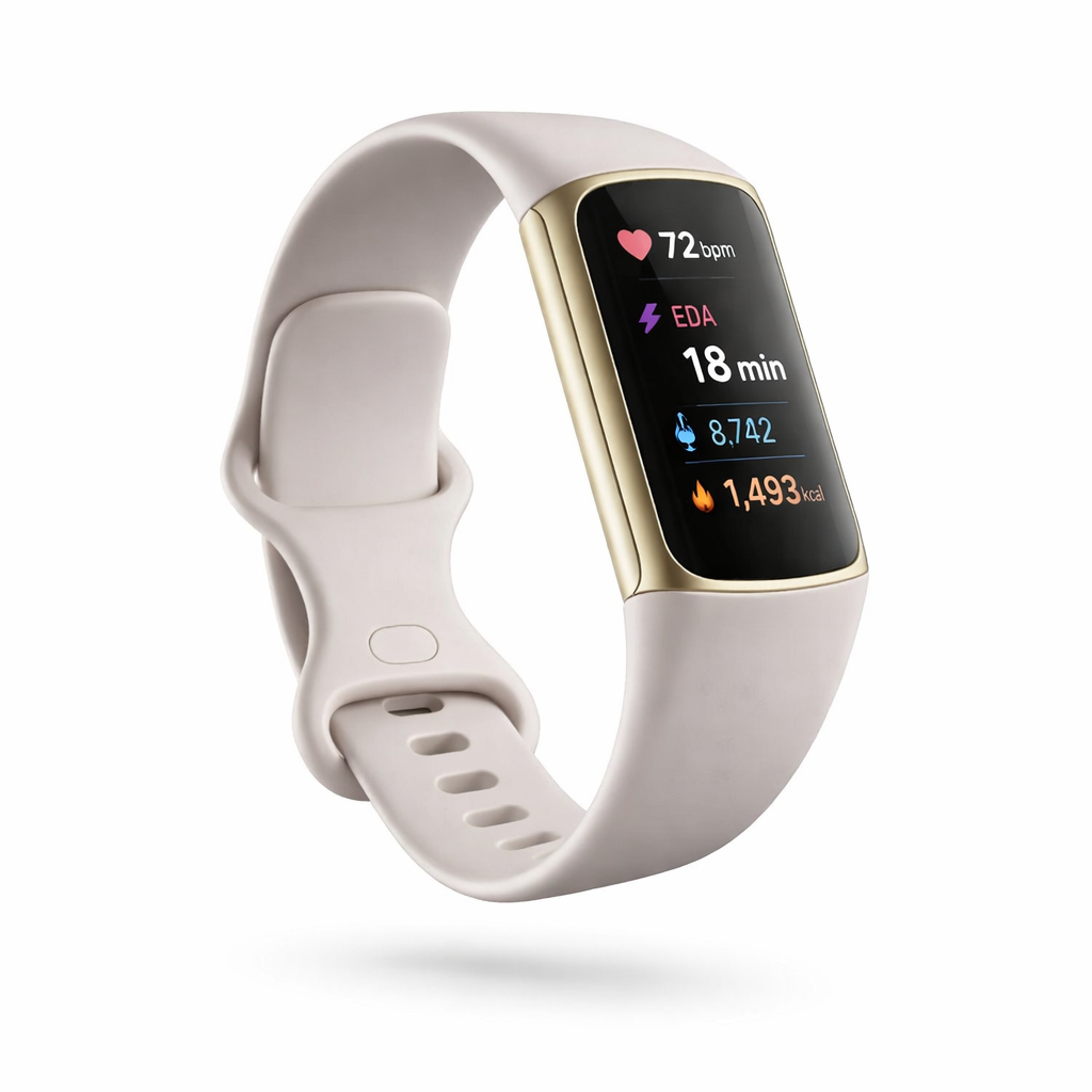 Fit Charge 5 — main