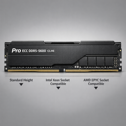 Pro ECC DDR5-5600 CL46 Memory Kit — details